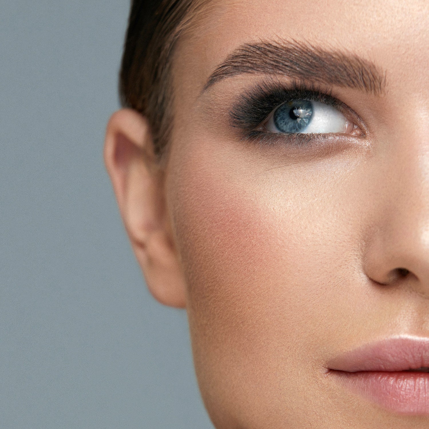 Brows & Lashes & Facial Waxing (Single Sessions)